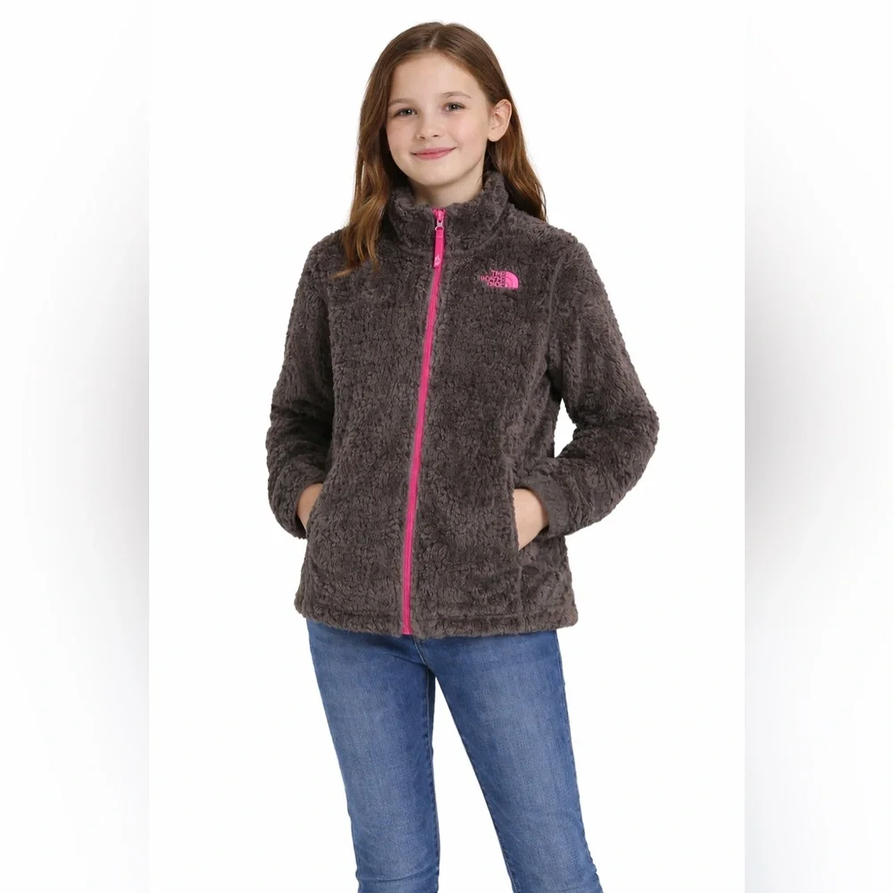 The North Face Pink and Gray Puffer Jacket with Plush Texture